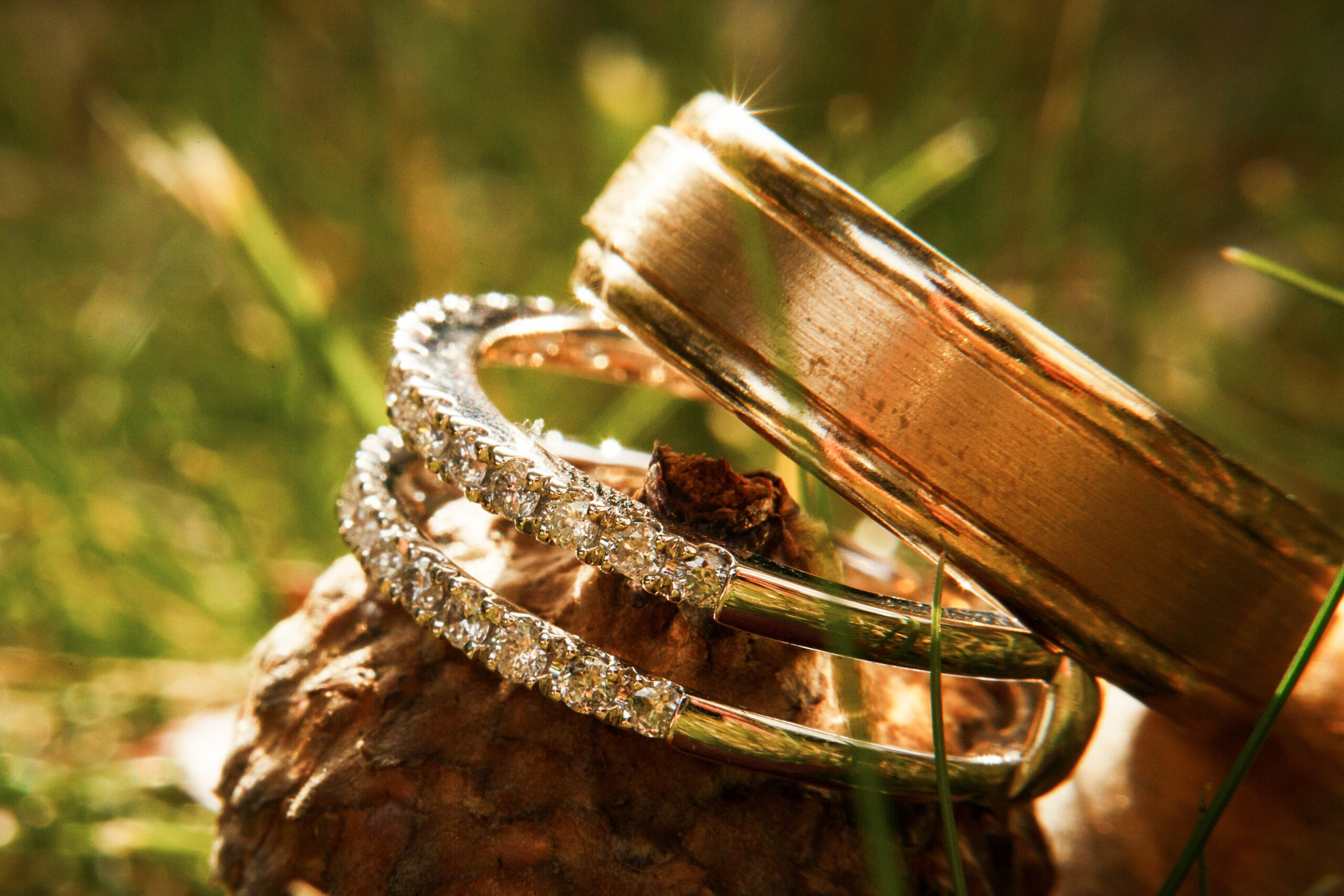 Gorgeous wedding rings sparklie on acorn